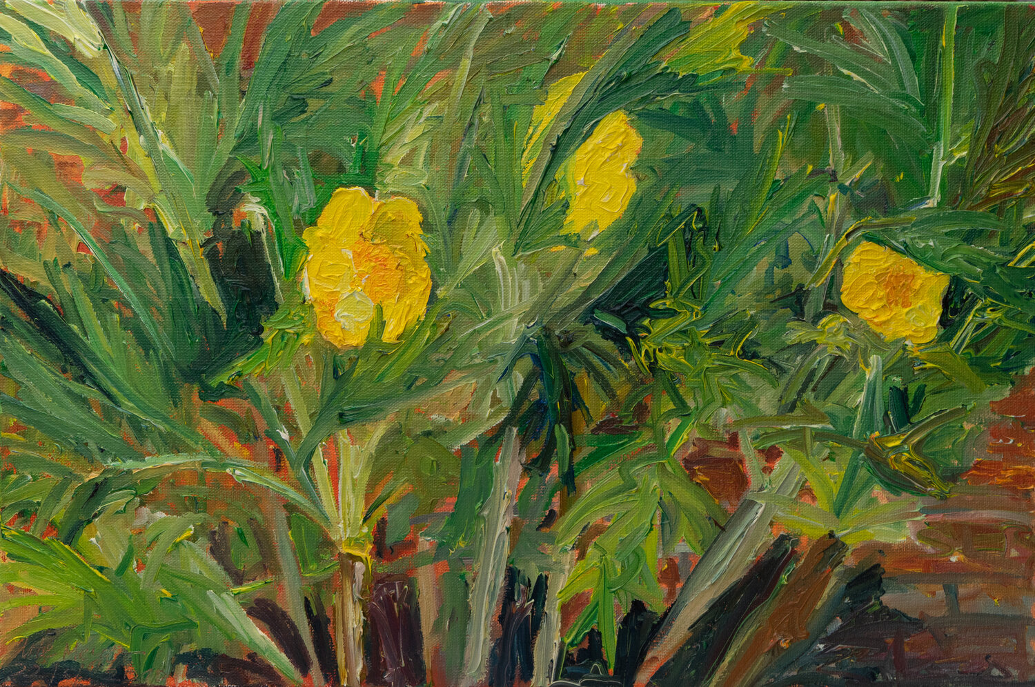 Leuchtend gelbe Strauchpäonie Ute Meyer Original painting for sale