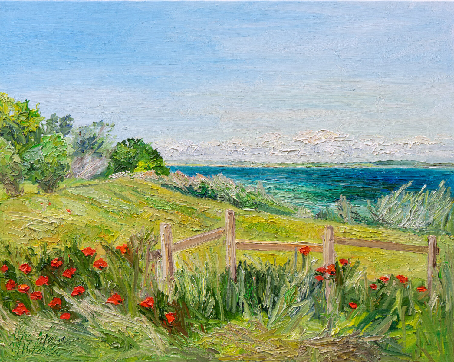 Mohnblüten am Zaun /Bregningemark / Ærø Ute Meyer Original painting for sale
