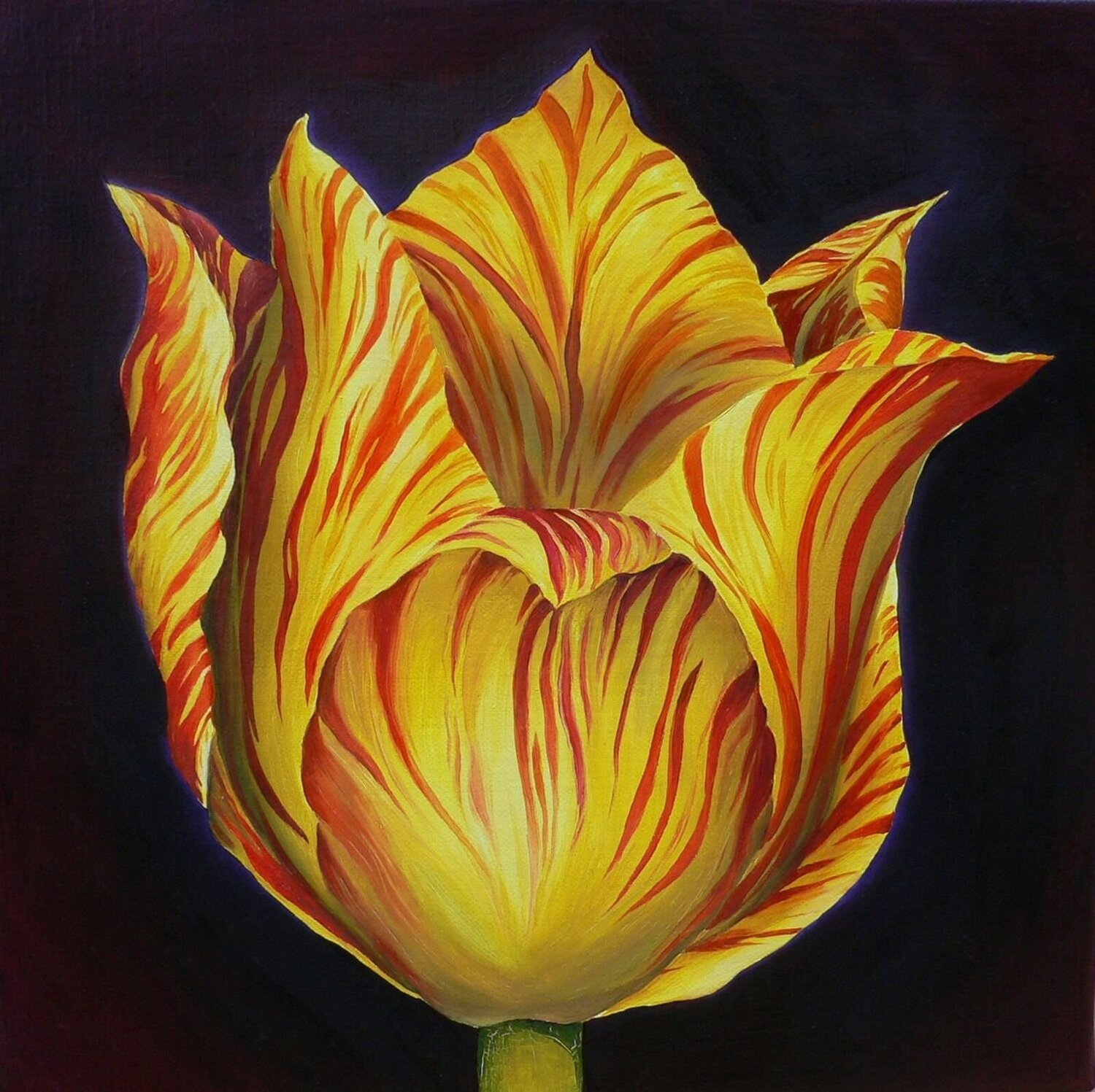 Tulpe Nr. 61, Vanitas Veronika Seebass Original painting for sale