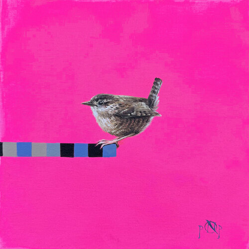 Carolina Wren Bird by Nat Pop, Painting for Sale on Select