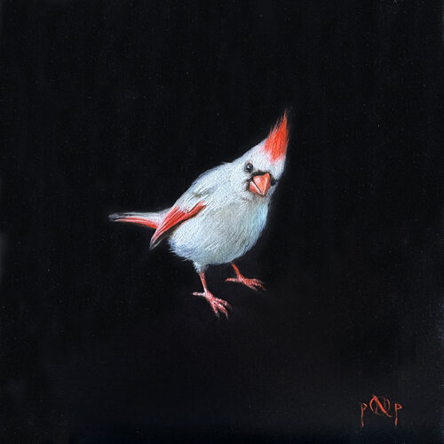 You are special! Albinos cardinal bird by Nat Pop, Painting for Sale on Select