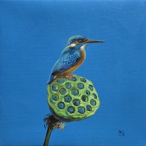 Kingfisher Bird by Nat Pop, Painting for Sale on Select
