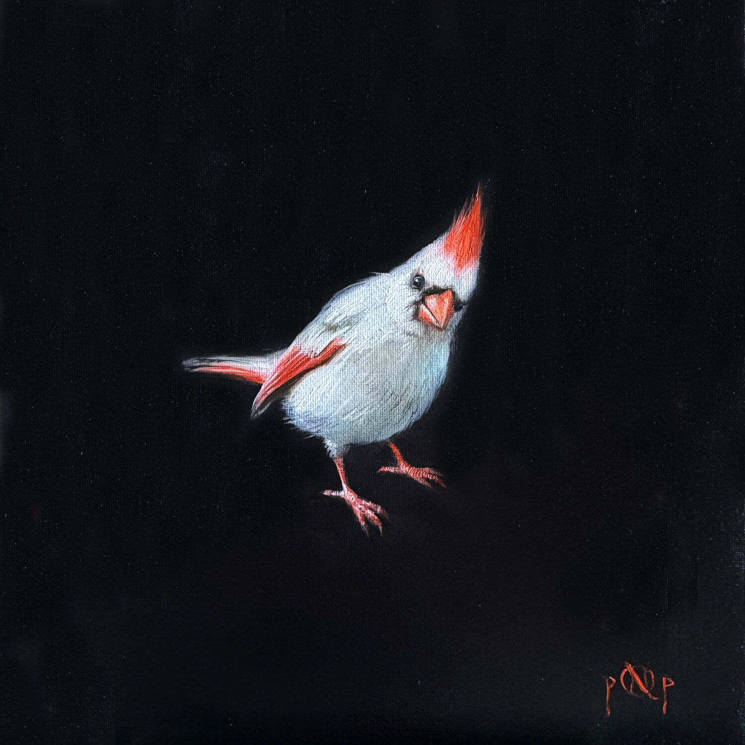You are special! Albinos cardinal bird Nat Pop Original painting for sale