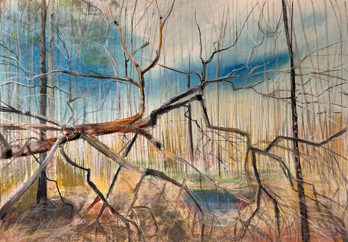Transience and life by Sonja Kalmanfi, Painting for Sale on Select