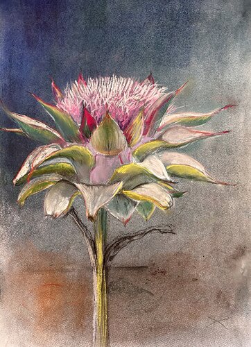 Artichoke - Villa Cerone - Monte Cicerale by Sonja Kalmanfi, Painting for Sale on Select