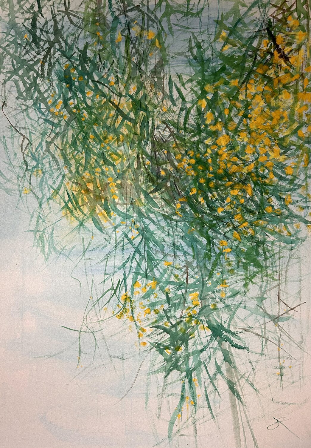 Sitting under the Eucalytus Tree - Punta Licosa Sonja Kalmanfi Original painting for sale