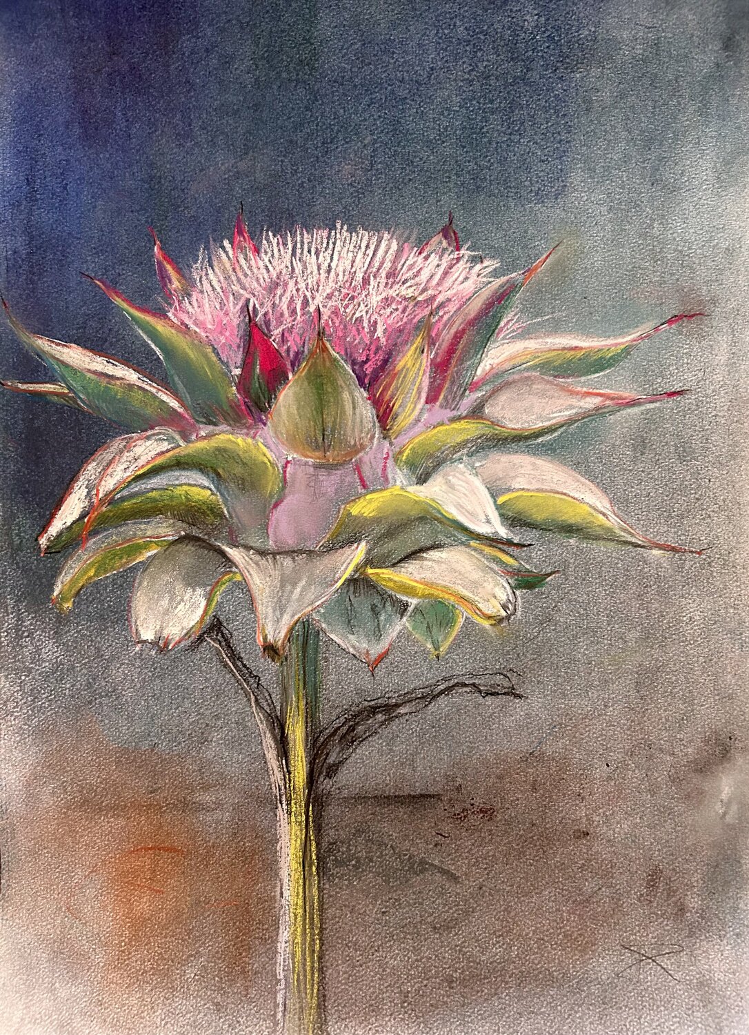 Artichoke - Villa Cerone - Monte Cicerale Sonja Kalmanfi Original painting for sale
