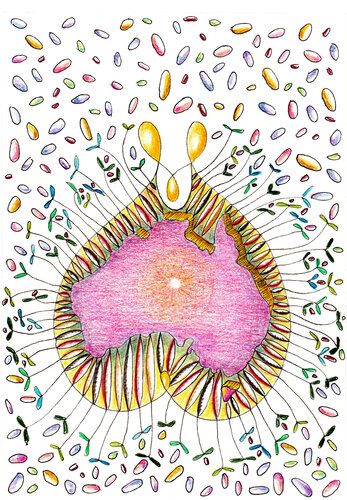 PEACE SEED AUSTRALIA CONTINENT by Gudrun KARGL, Drawing for Sale on Select