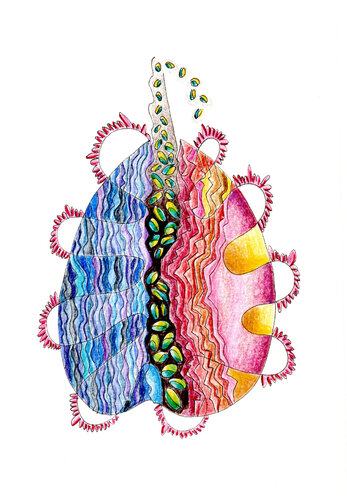 PEACE SEED BUNDA CLIFFS, Australia by Gudrun KARGL, Drawing for Sale on Select