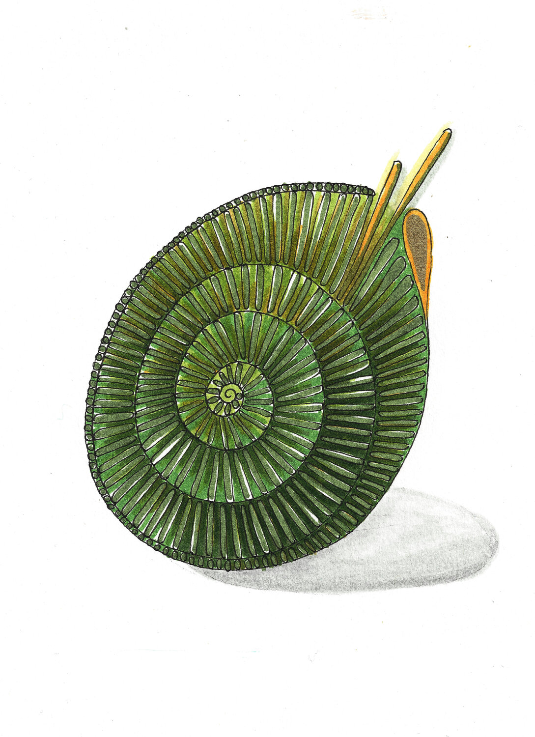 PEACE SEED "FRAUENCHIEMSEE" - GERMANY Gudrun KARGL Drawing for sale