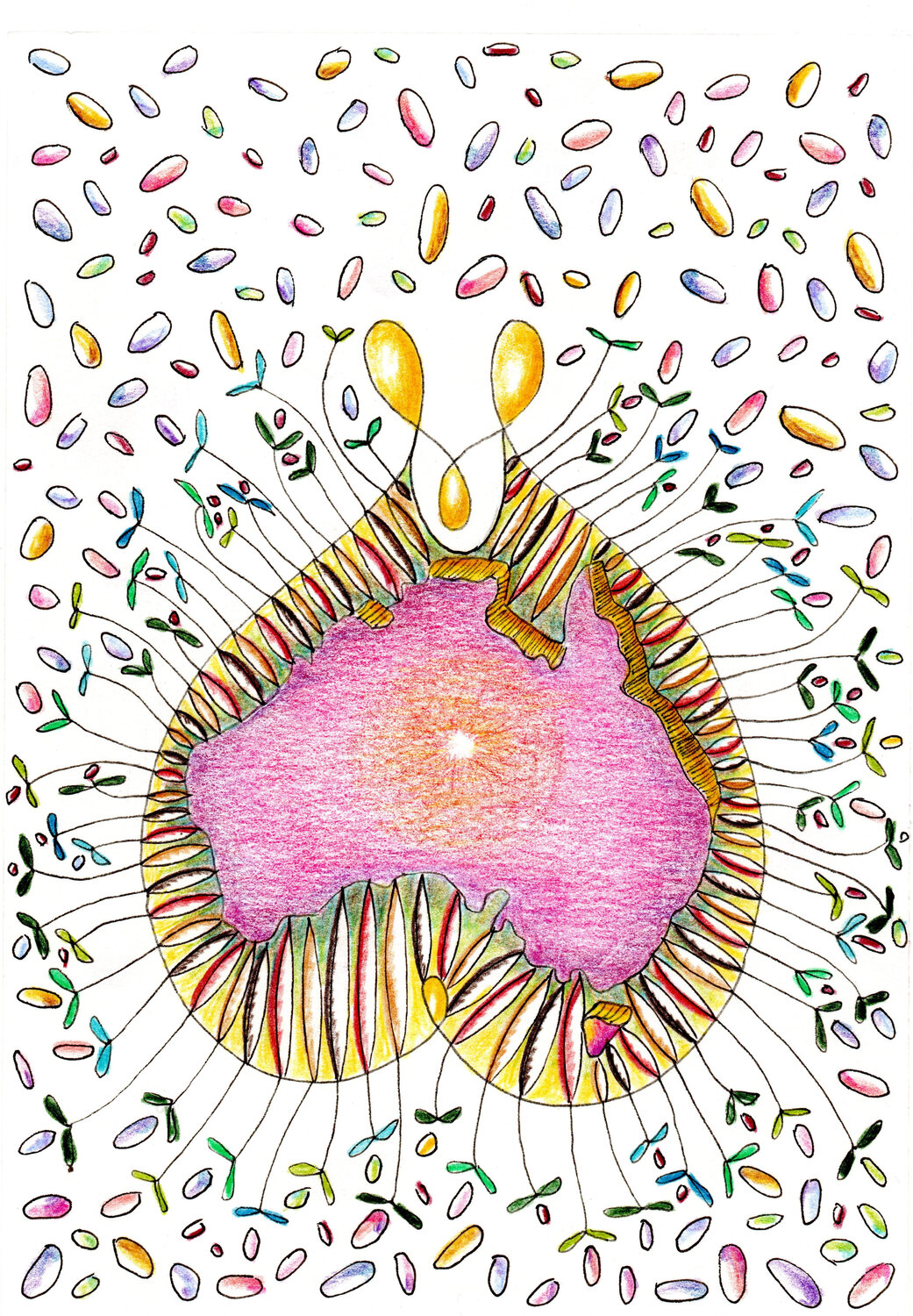 PEACE SEED AUSTRALIA CONTINENT Gudrun KARGL Drawing for sale