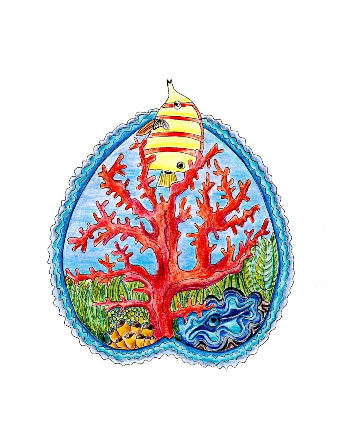 PEACE SEED GREAT BARRIER REEF, Australia Gudrun KARGL Drawing for sale