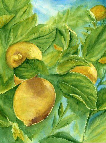 Lemon Bliss by Alisa Vovk, Painting for Sale on Select