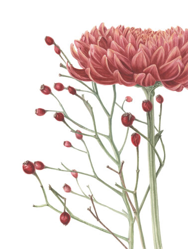 Late bloom by Alisa Vovk, Painting for Sale on Select