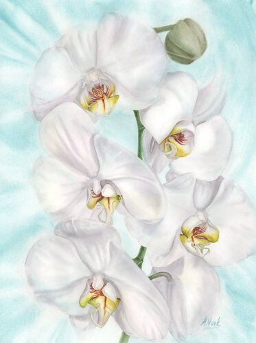 Luminous Cambridge Orchid by Alisa Vovk, Painting for Sale on Select