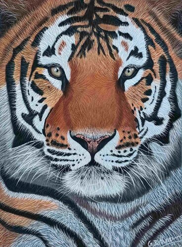 Pride by Artist Bathmawathy, Drawing for Sale on Select