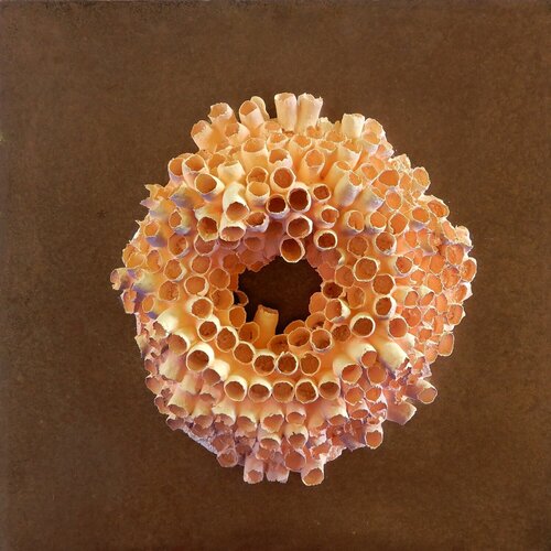 Porosité Partagée / Shared Porosity by Asmae Laraqui, Sculpture for Sale on Select