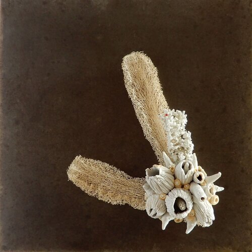 Hybridation sensible / Sensitive Hybridization by Asmae Laraqui, Sculpture for Sale on Select