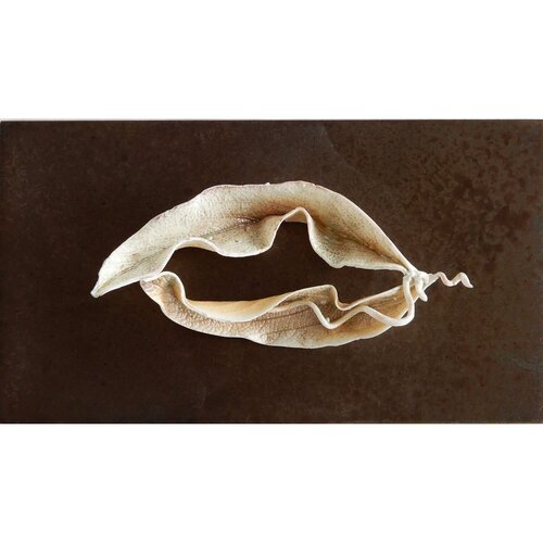 Écho de feuille / Leaf Echo by Asmae Laraqui, Sculpture for Sale on Select