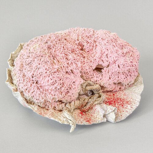 Souffle premier / First Breath by Asmae Laraqui, Sculpture for Sale on Select