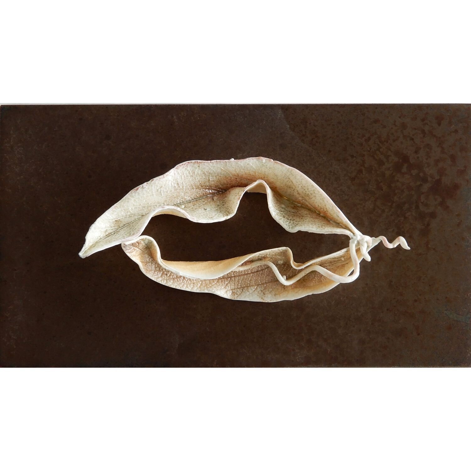 Écho de feuille / Leaf Echo Asmae Laraqui Sculpture for sale