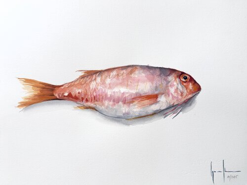SALMONETE by Nacho Muñoz Cano, Painting for Sale on Select