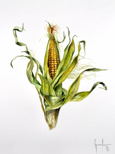 Mazorca by Nacho Muñoz Cano, Painting for Sale on Select
