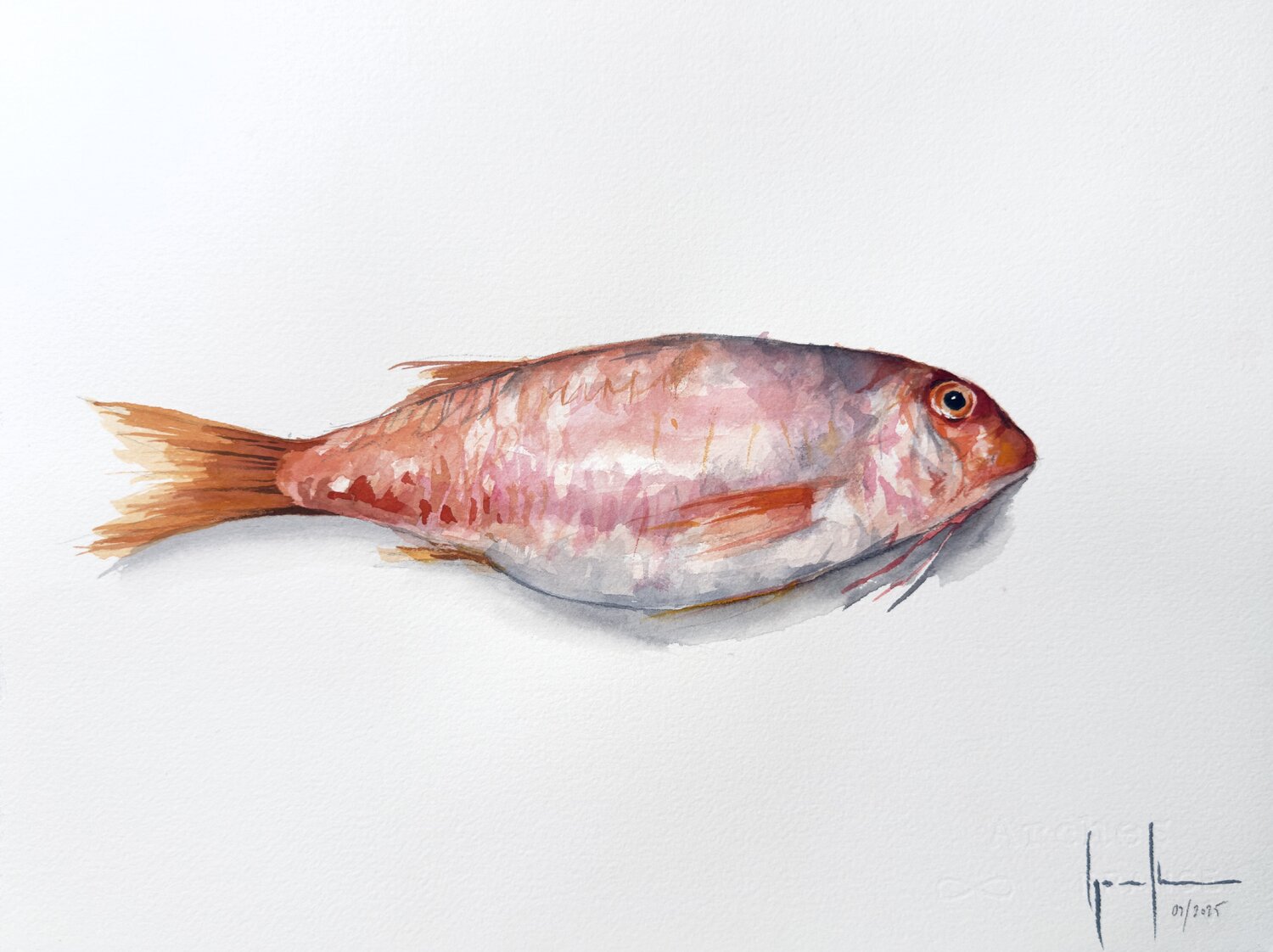 SALMONETE Nacho Muñoz Cano Original painting for sale
