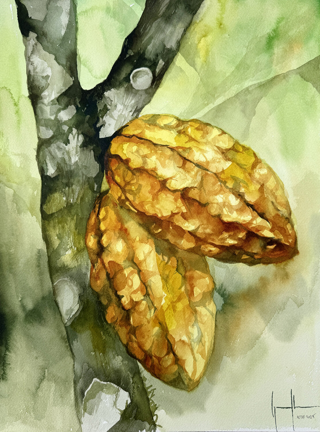 CACAO AMARILLO Nacho Muñoz Cano Original painting for sale