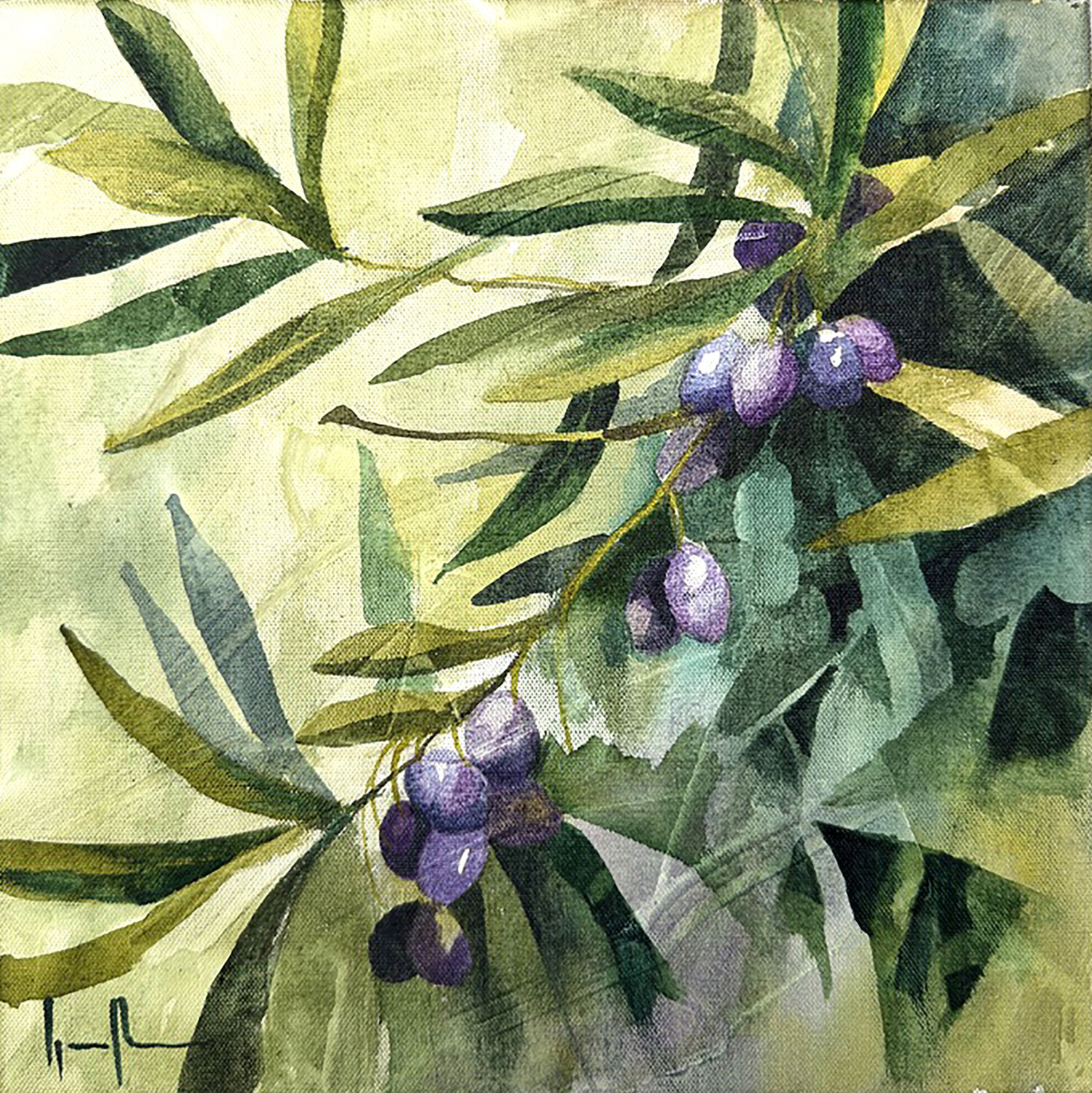 RAMA DE OLIVO Nacho Muñoz Cano Original painting for sale