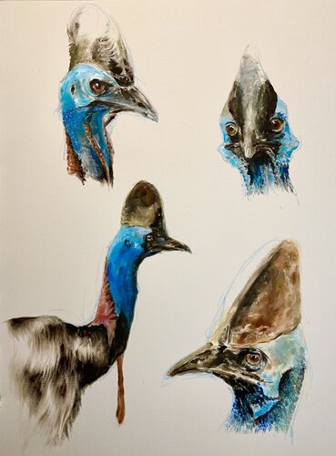Kasuare by Florentine Kunze-Wolff, Painting for Sale on Select