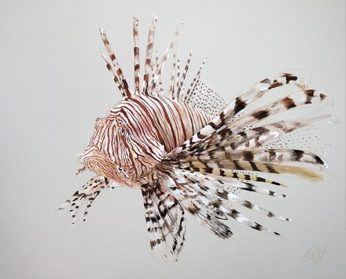 Feuerfisch by Florentine Kunze-Wolff, Painting for Sale on Select