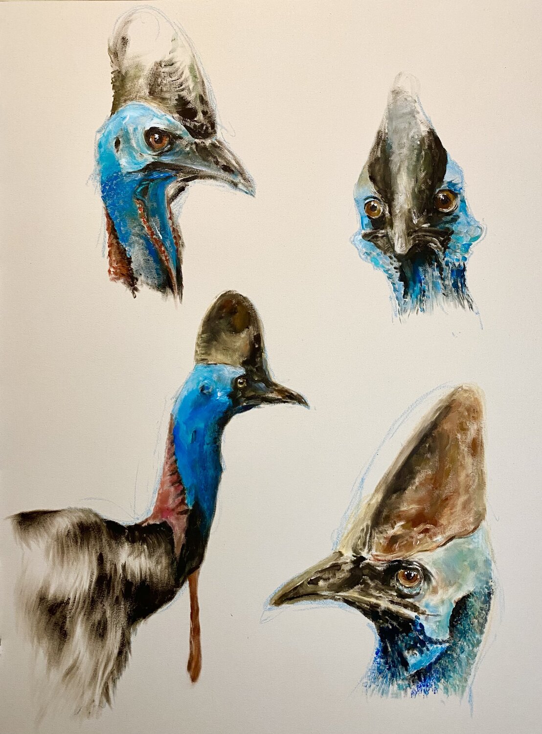 Kasuare Florentine Kunze-Wolff Original painting for sale