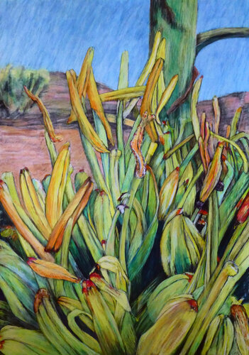 Agavenblüte 2 by Gabriele Kübler-Mohr, Painting for Sale on Select