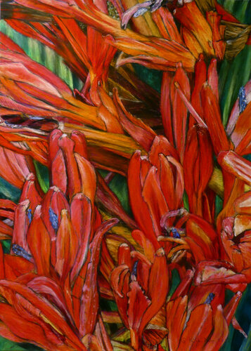 Flowering Overload by Gabriele Kübler-Mohr, Painting for Sale on Select