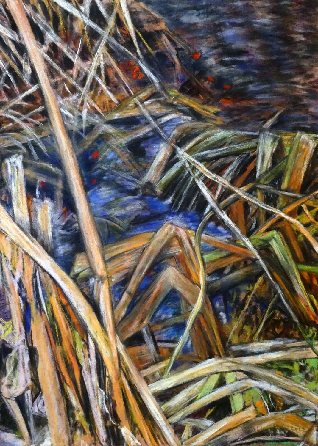 Sumpfschilf 2 Gabriele Kübler-Mohr Original painting for sale