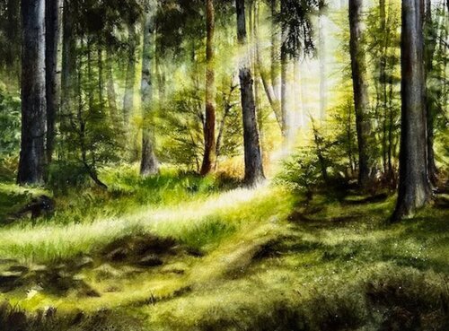 Forest Clearing by Annett Coumont, Painting for Sale on Select