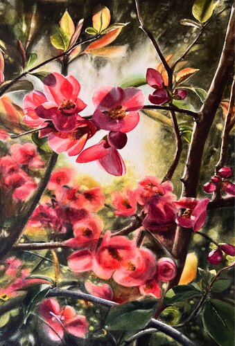 Flowering Quince by Annett Coumont, Painting for Sale on Select