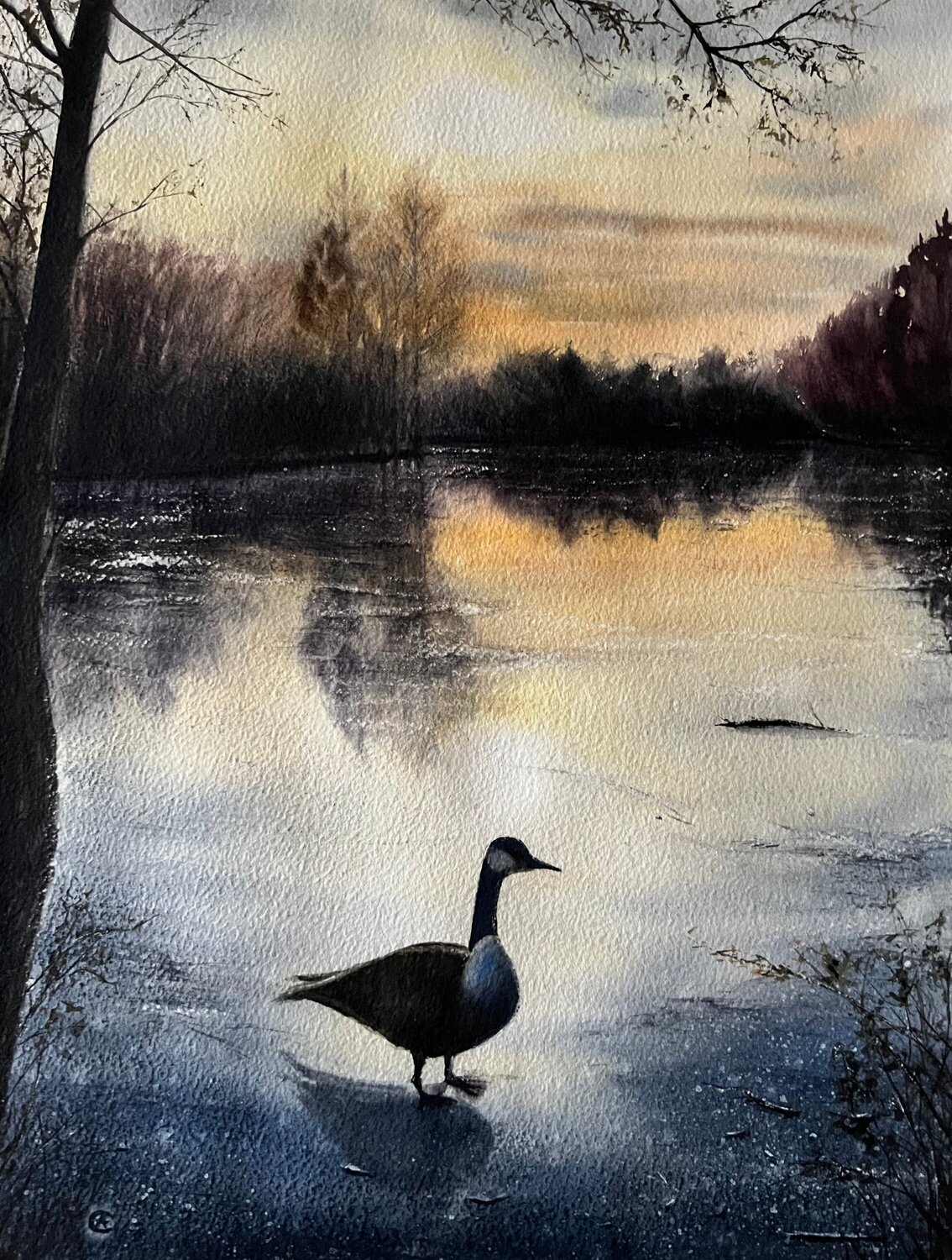 Wild Goose Annett Coumont Original painting for sale