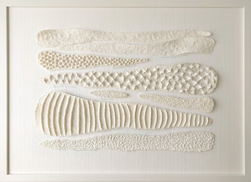 Herbarium Album. Folium I. Tactile Contemplation Piece by Svetlana Grigoryeva, Sculpture for Sale on Select