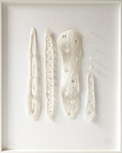 Maturatio Lapillorum Sensibilium | Folium II | Herbarium Imaginarium by Svetlana Grigoryeva, Sculpture for Sale on Select