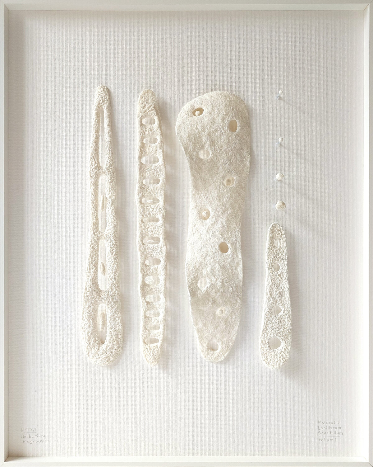 Maturatio Lapillorum Sensibilium | Folium II | Herbarium Imaginarium Svetlana Grigoryeva Sculpture for sale