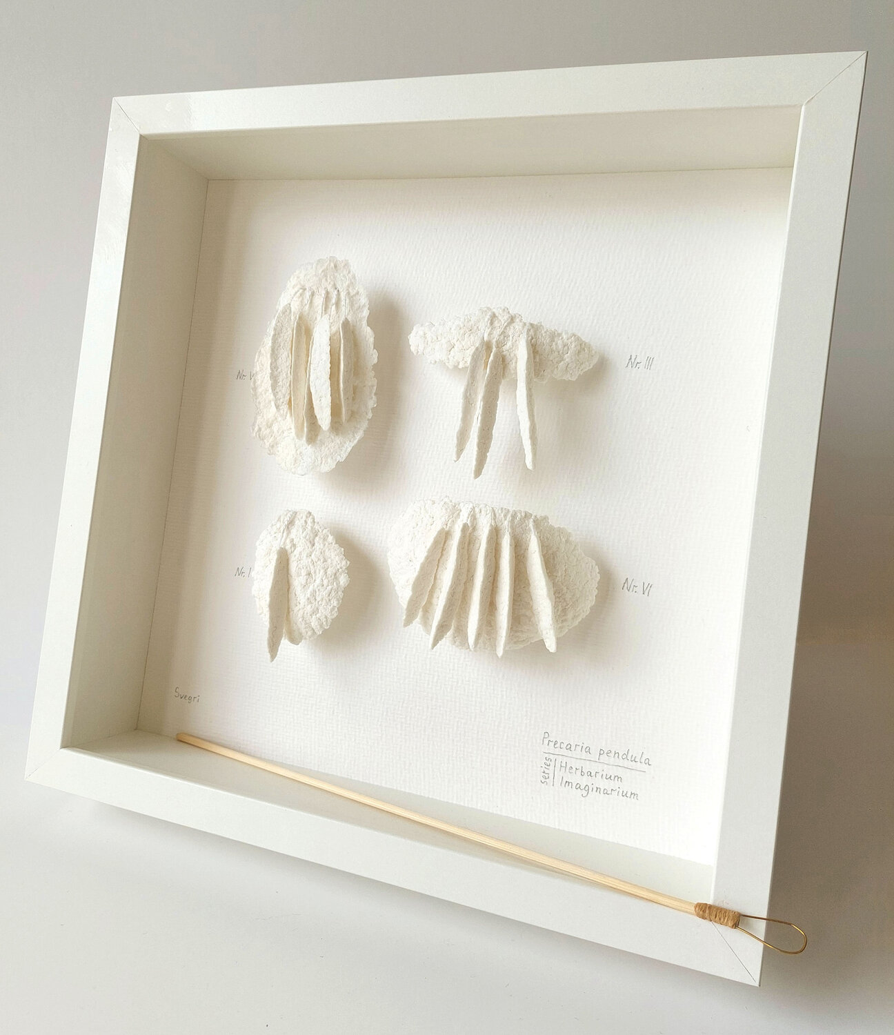 Precaria pendula | Prayer beads | Herbarium Imaginarium Svetlana Grigoryeva Sculpture for sale