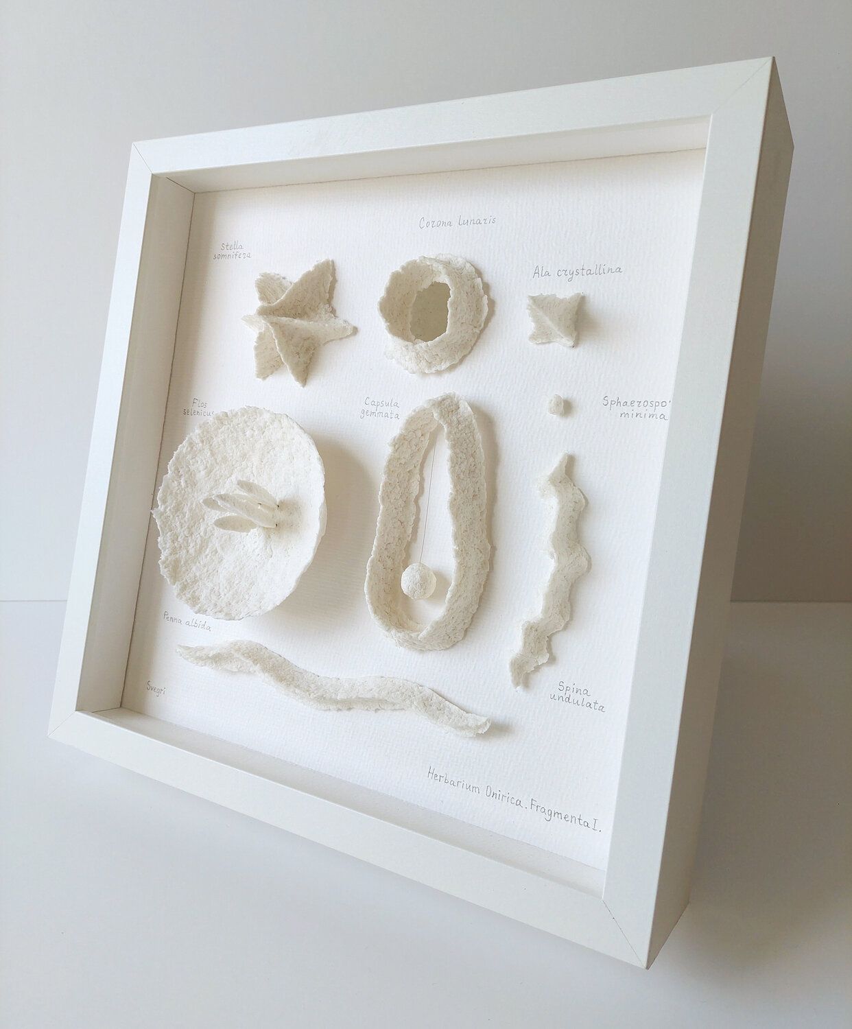 Dream Herbarium (Herbarium Onirica) Svetlana Grigoryeva Sculpture for sale