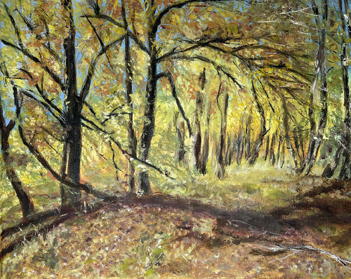 Buchen im Todtermoor by Angela Sommer, Painting for Sale on Select