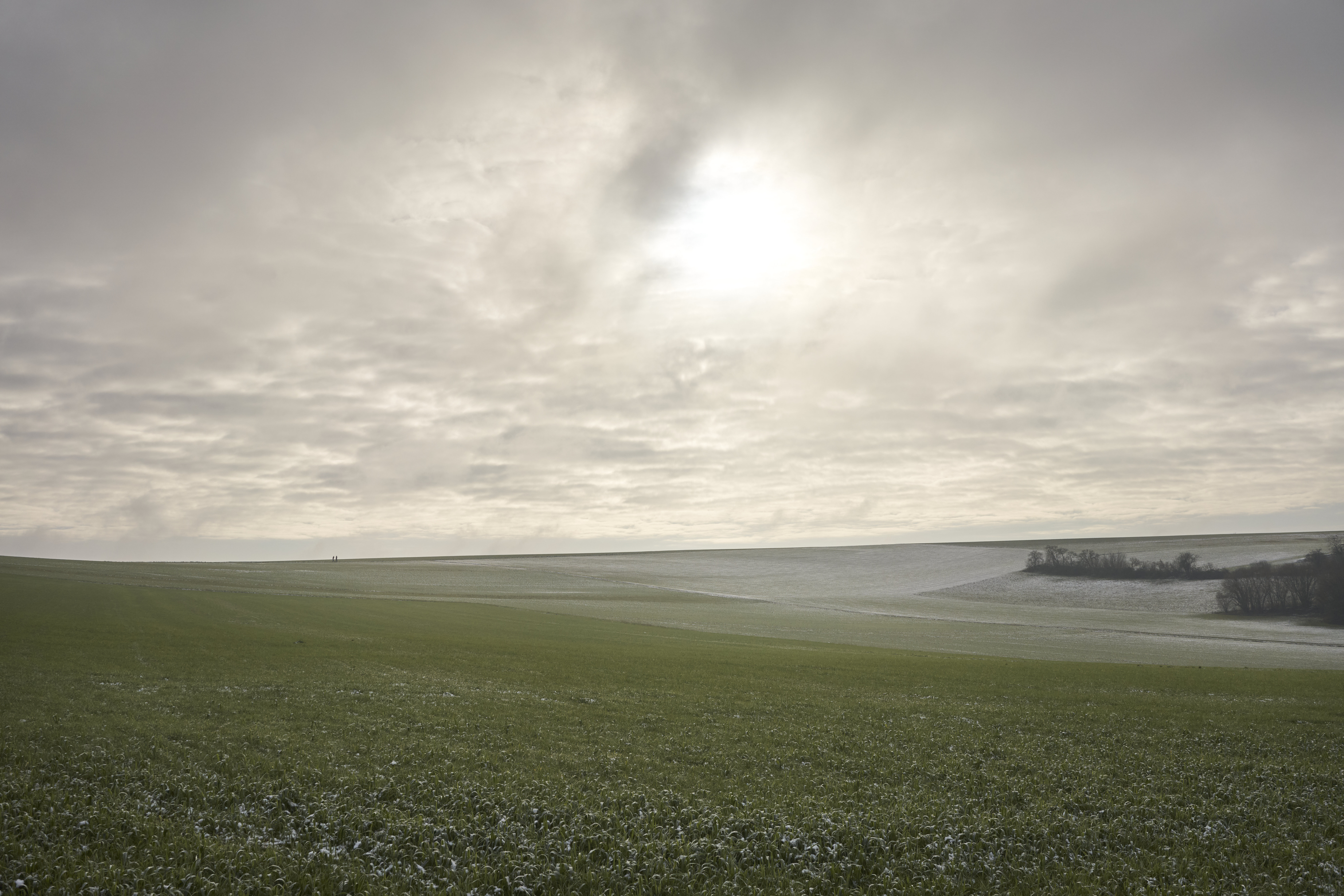 Winter Light, Fellerich
