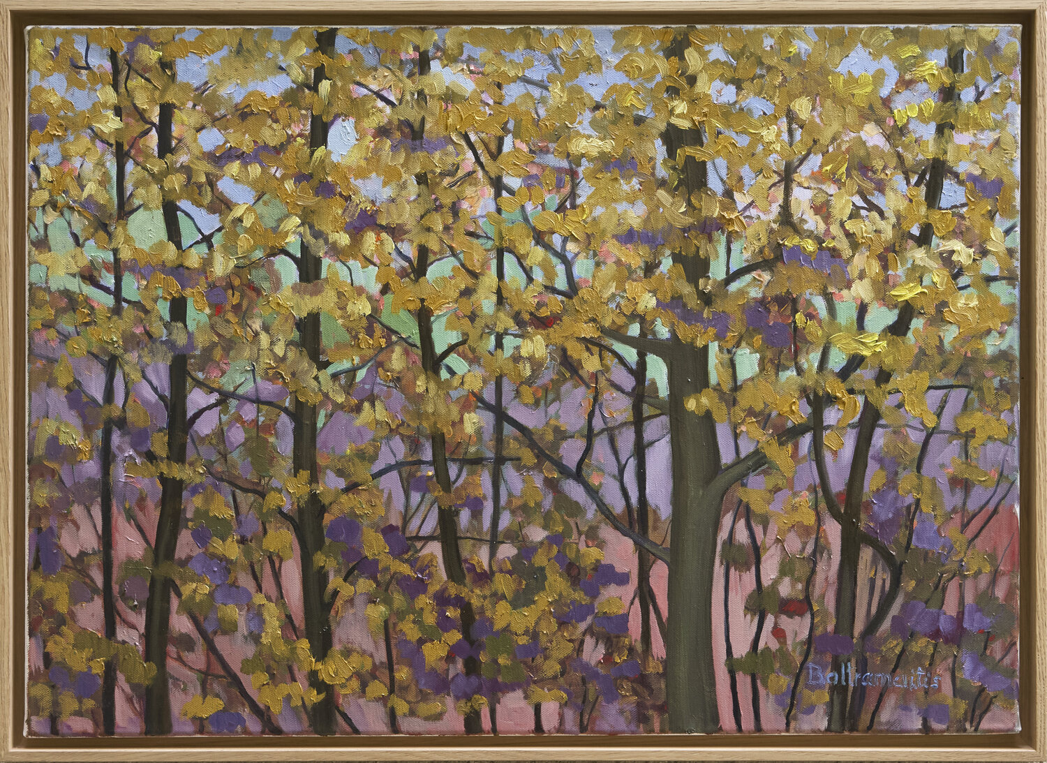 Autumn Canopy – Fellerich Woods Sigitas Baltramaitis Original painting for sale