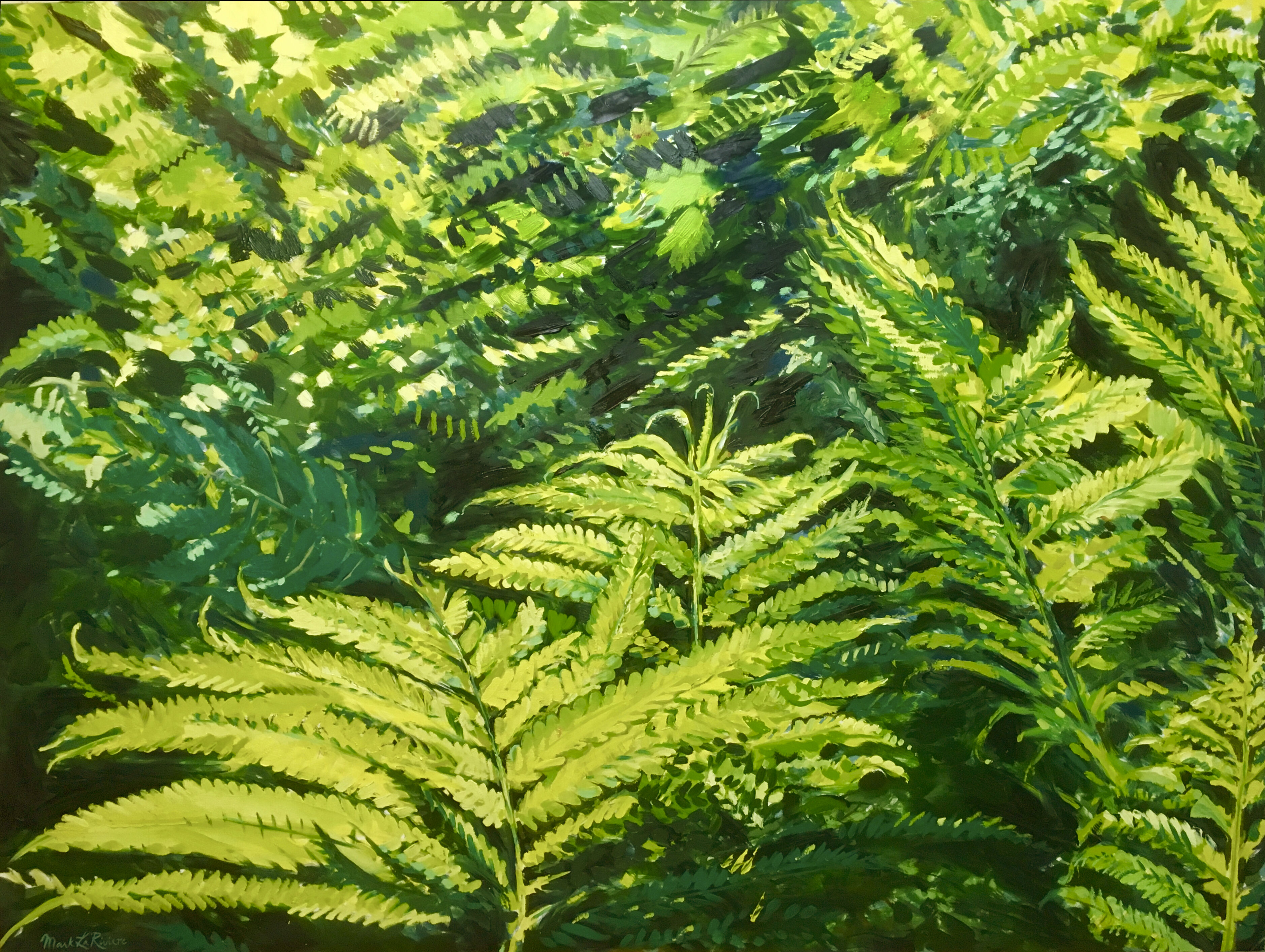 Lady Ferns | Original Oil Painting - 60 x 48 inches