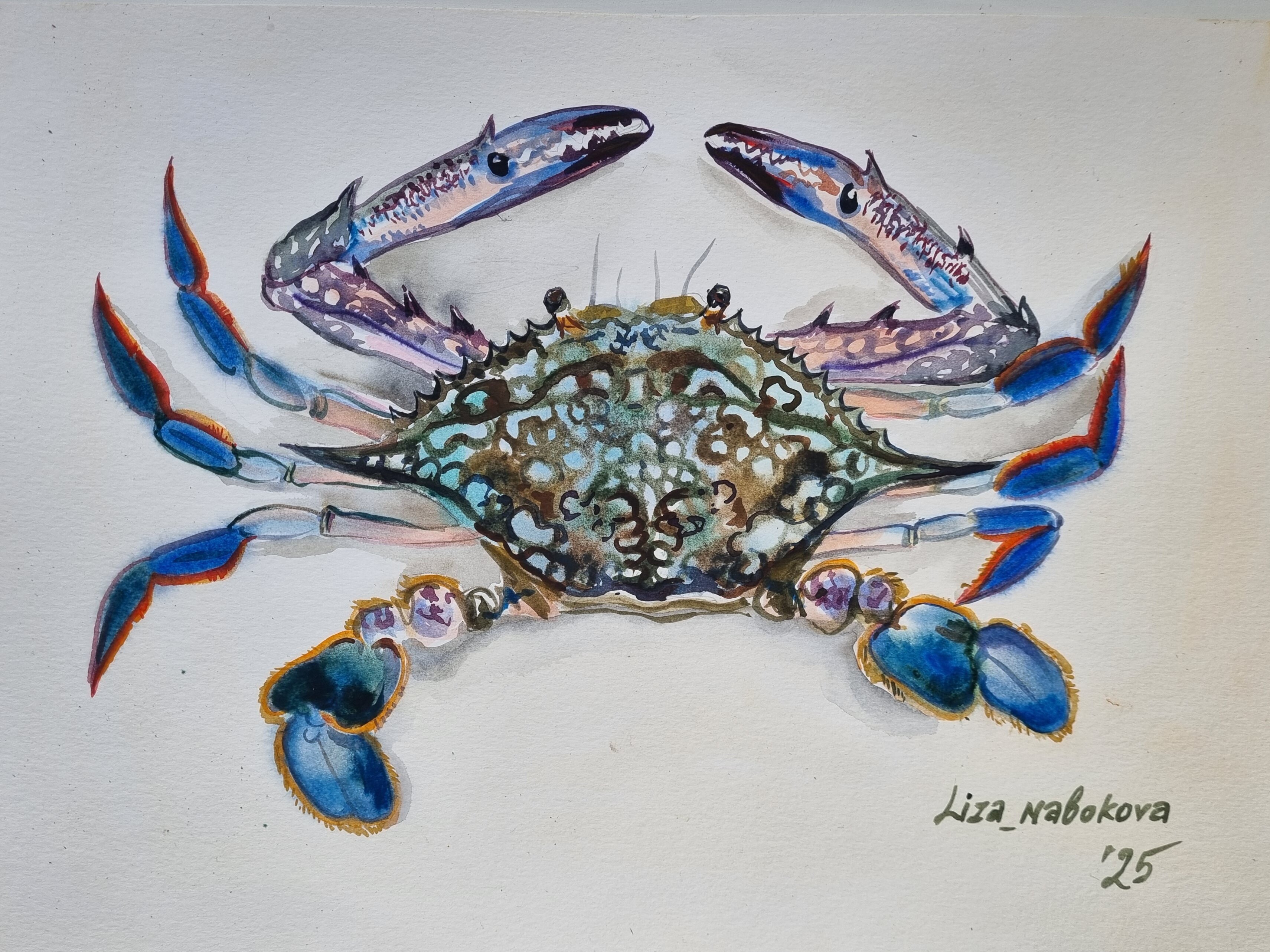 Dotty crab