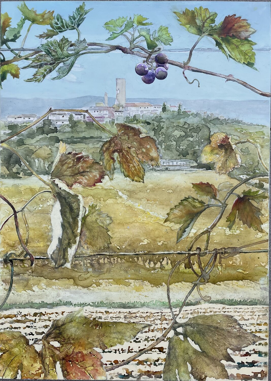 Barbaresco Francesco Pellerano Original painting for sale